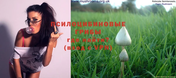 spice Покровск