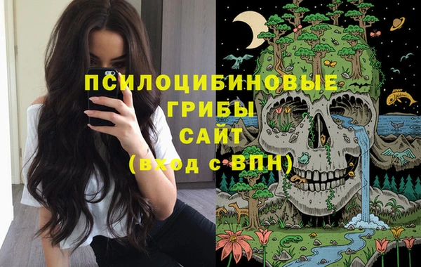 Альфа ПВП Дубовка