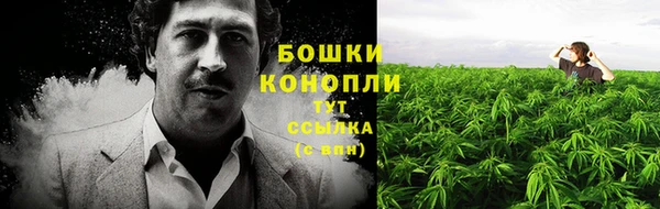 Альфа ПВП Дубовка
