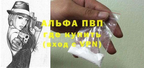 PSILOCYBIN Дрезна