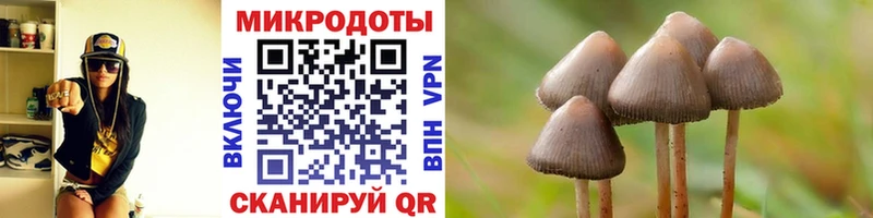 Галлюциногенные грибы ЛСД  купить наркотики цена  блэк спрут сайт  Уварово 