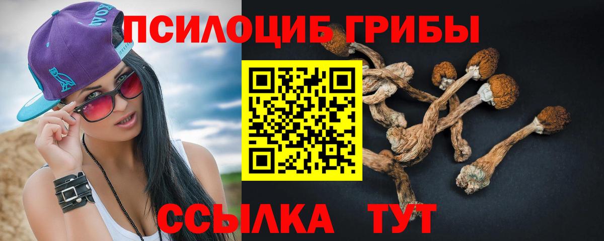 Галлюциногенные грибы мицелий  Вход с VPN  Уварово 